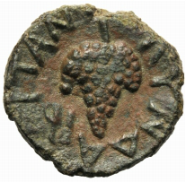 TYNDARIS