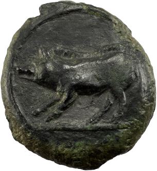 HALYCIAE