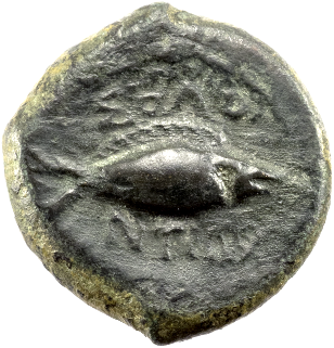 SOLUS