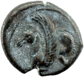 SOLUS
