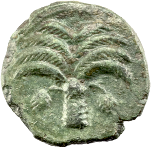 SIKILOPUNIER