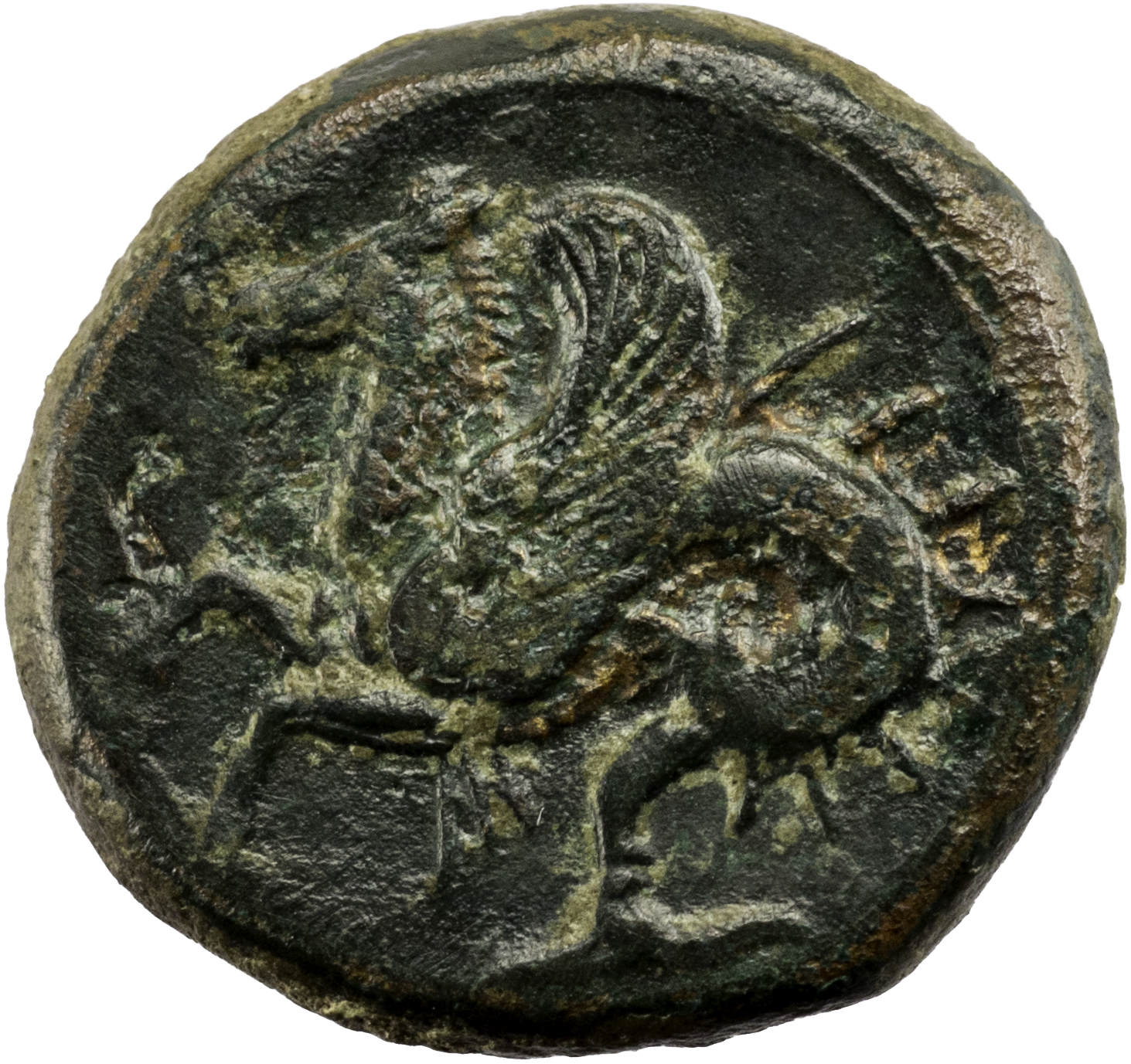 SYRAKUS