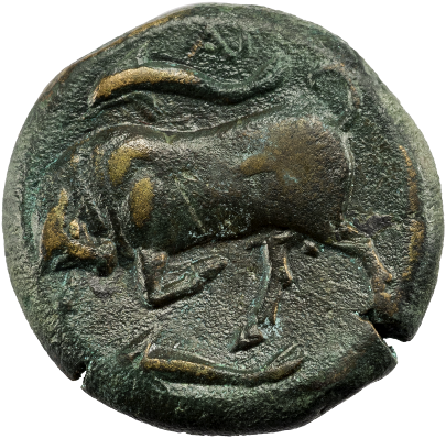 SYRAKUS